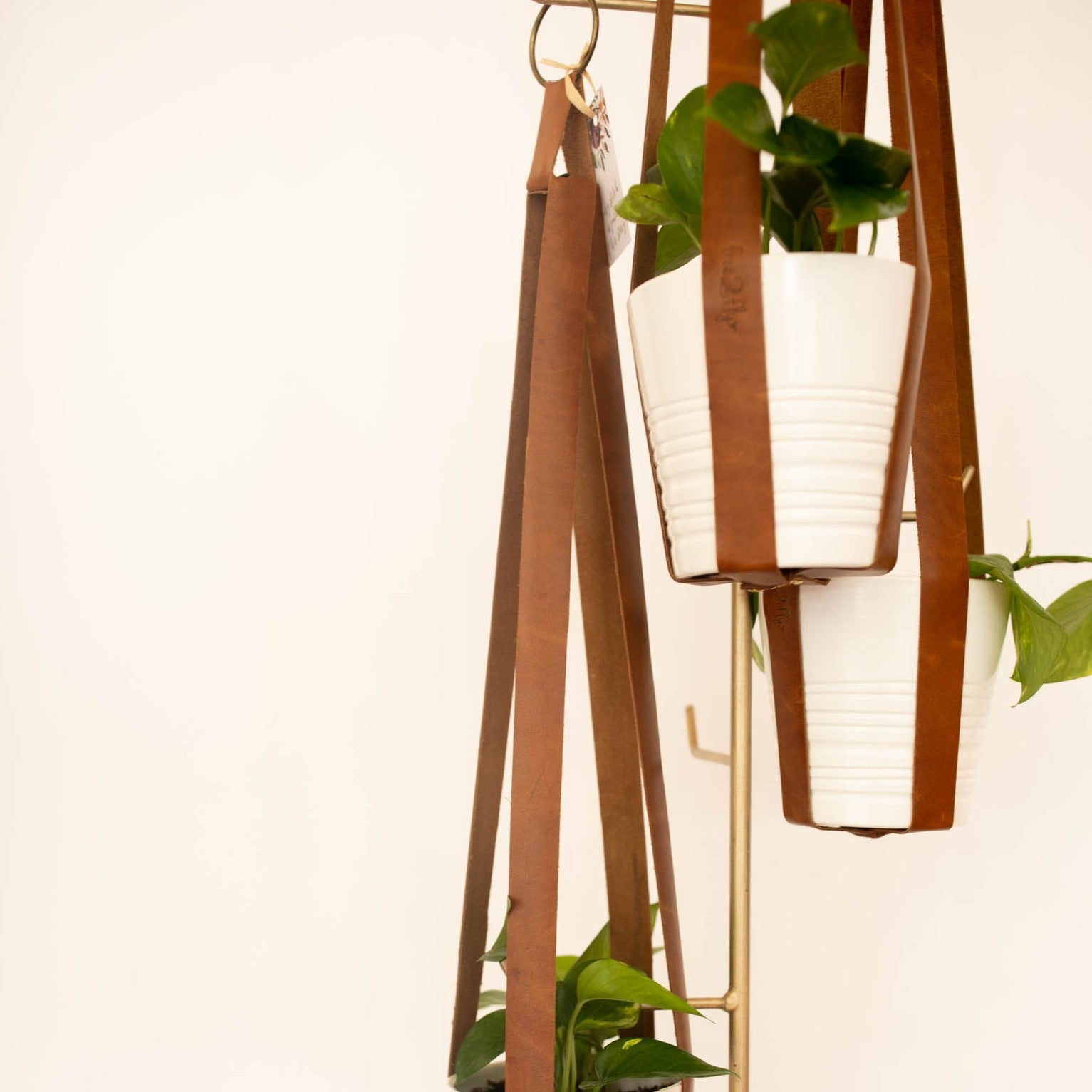 leather plant hanger Leather Plant Hanger – Project Free 2 Fly
