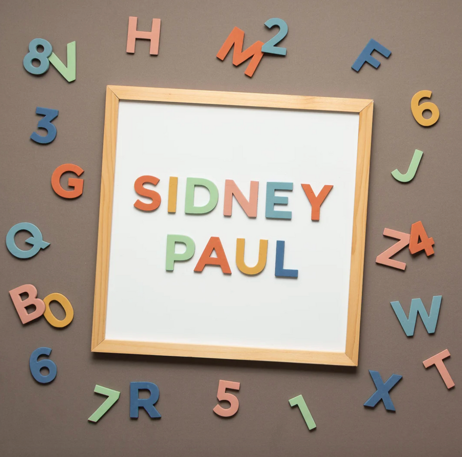 The Type Set Co. 2" 36 Piece Rainbow Mod Magnetic Letters