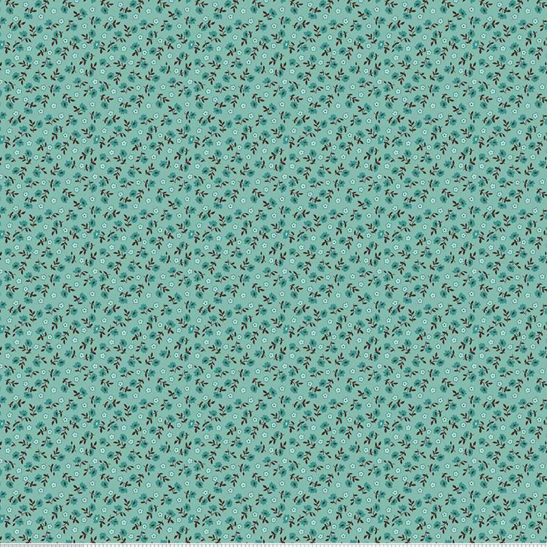 Zoom
