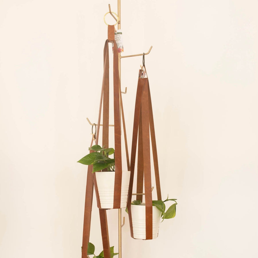 Leather Plant Hanger READY TO SHIP