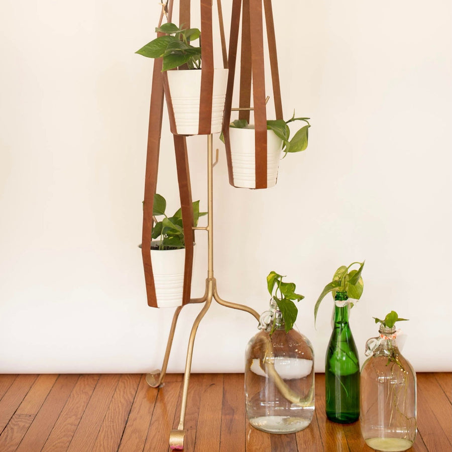 gold plant hanger Leather Plant Hanger – Project Free 2 Fly